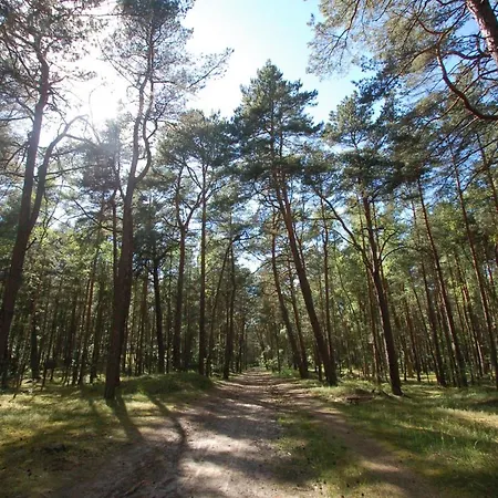 M&k Deluxe Sobieszewo 1 - Wyspa Sobieszewska 公寓