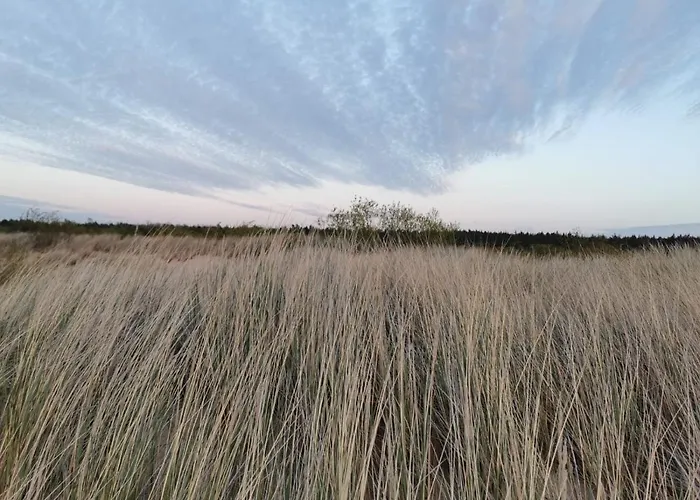 M&k Deluxe Sobieszewo 1 - Wyspa Sobieszewska 公寓 格但斯克