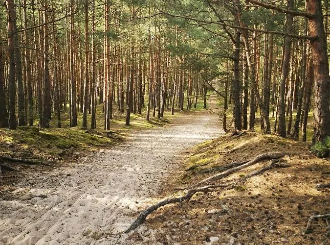 公寓 M&k Deluxe Sobieszewo 1 - Wyspa Sobieszewska *