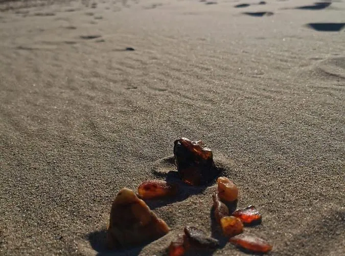 M&k Deluxe Sobieszewo 1 - Wyspa Sobieszewska *