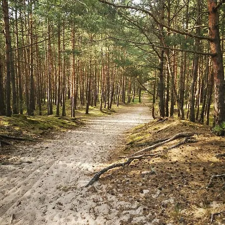 Apartment M&k Deluxe Sobieszewo 1 - Wyspa Sobieszewska *