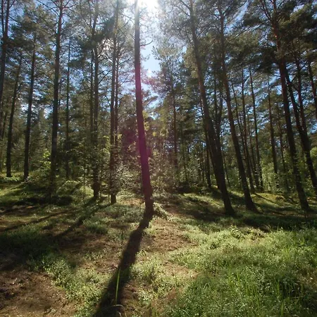 M&k Deluxe Sobieszewo 1 - Wyspa Sobieszewska Appartamento Danzica