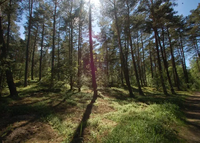 M&k Deluxe Sobieszewo 1 - Wyspa Sobieszewska アパート グダニスク