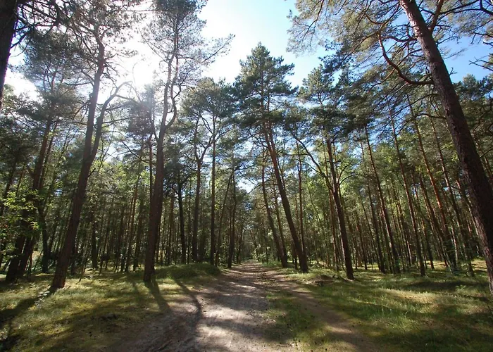 M&k Deluxe Sobieszewo 1 - Wyspa Sobieszewska Apartman